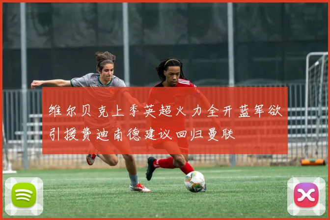 维尔贝克上季英超火力全开蓝军欲引援费迪南德建议回归曼联