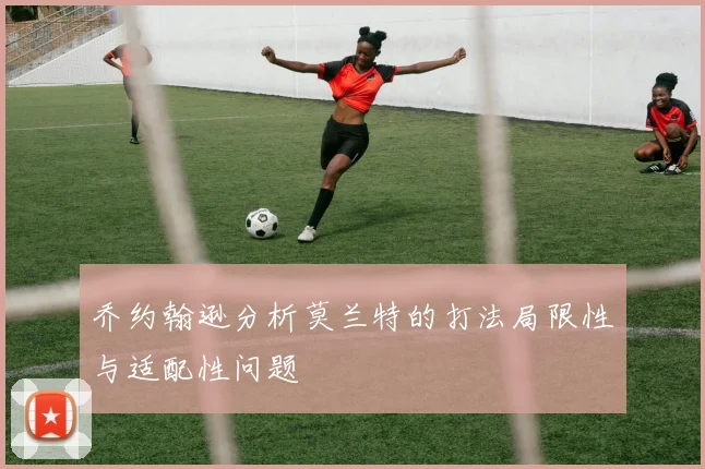 乔约翰逊分析莫兰特的打法局限性与适配性问题